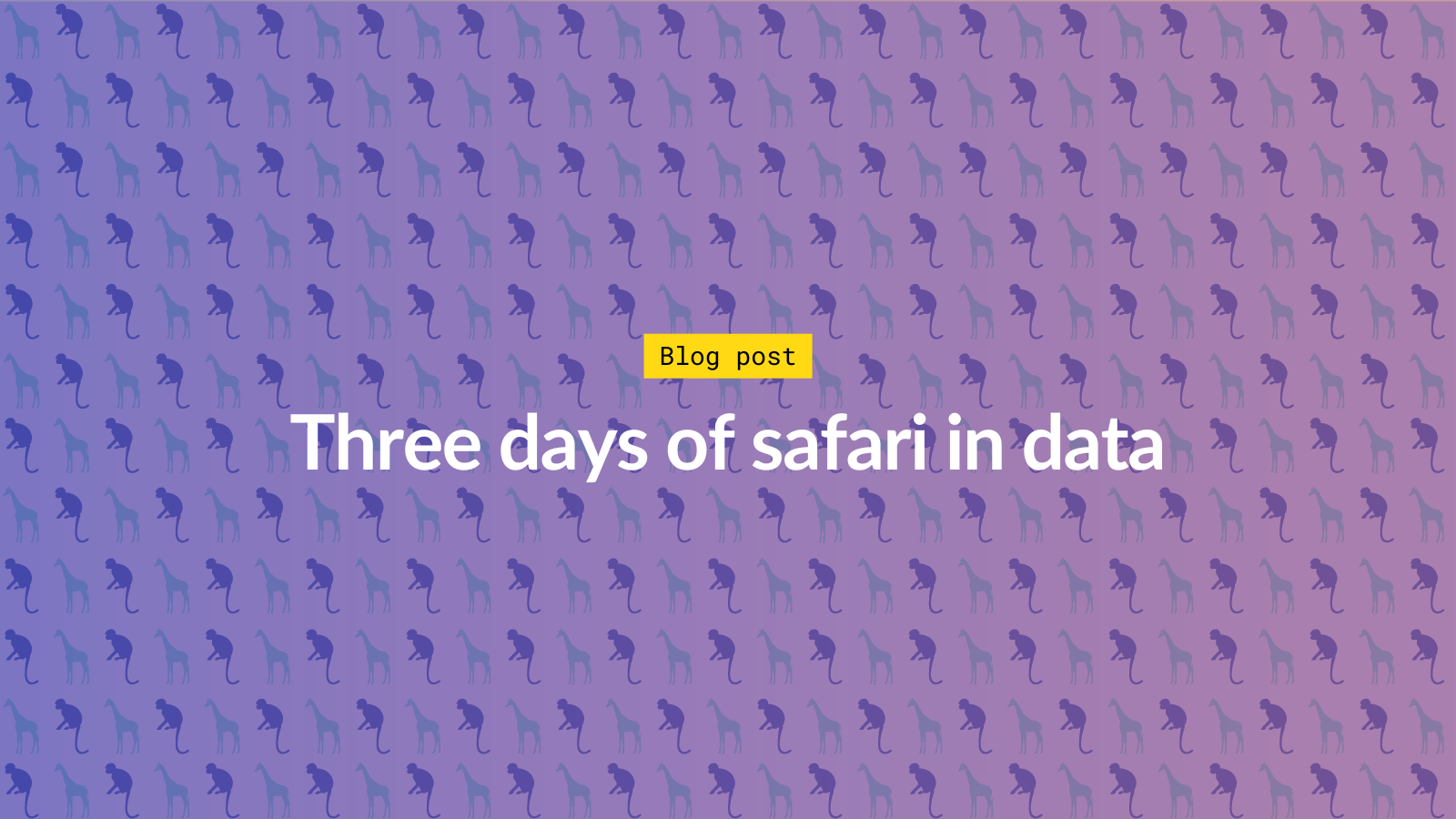 Days On Safari In Data The Flourish Blog Flourish Data Visualization Storytelling